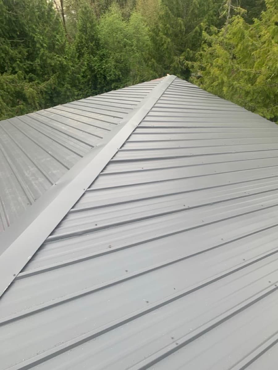 Gray standing seam metal roof ridge with evergreen trees behind it
