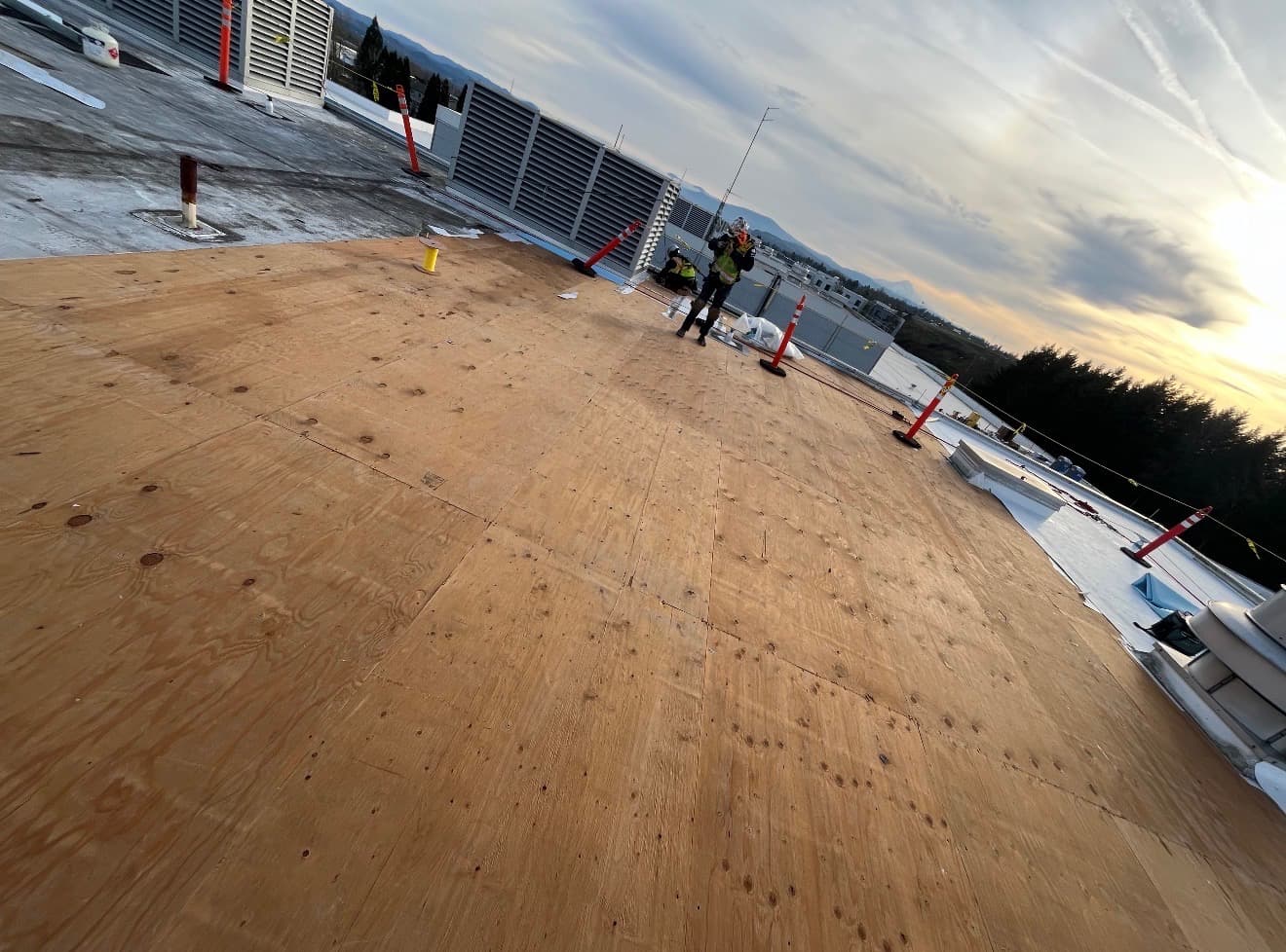 Bare plywood decking across a large roof at sunset