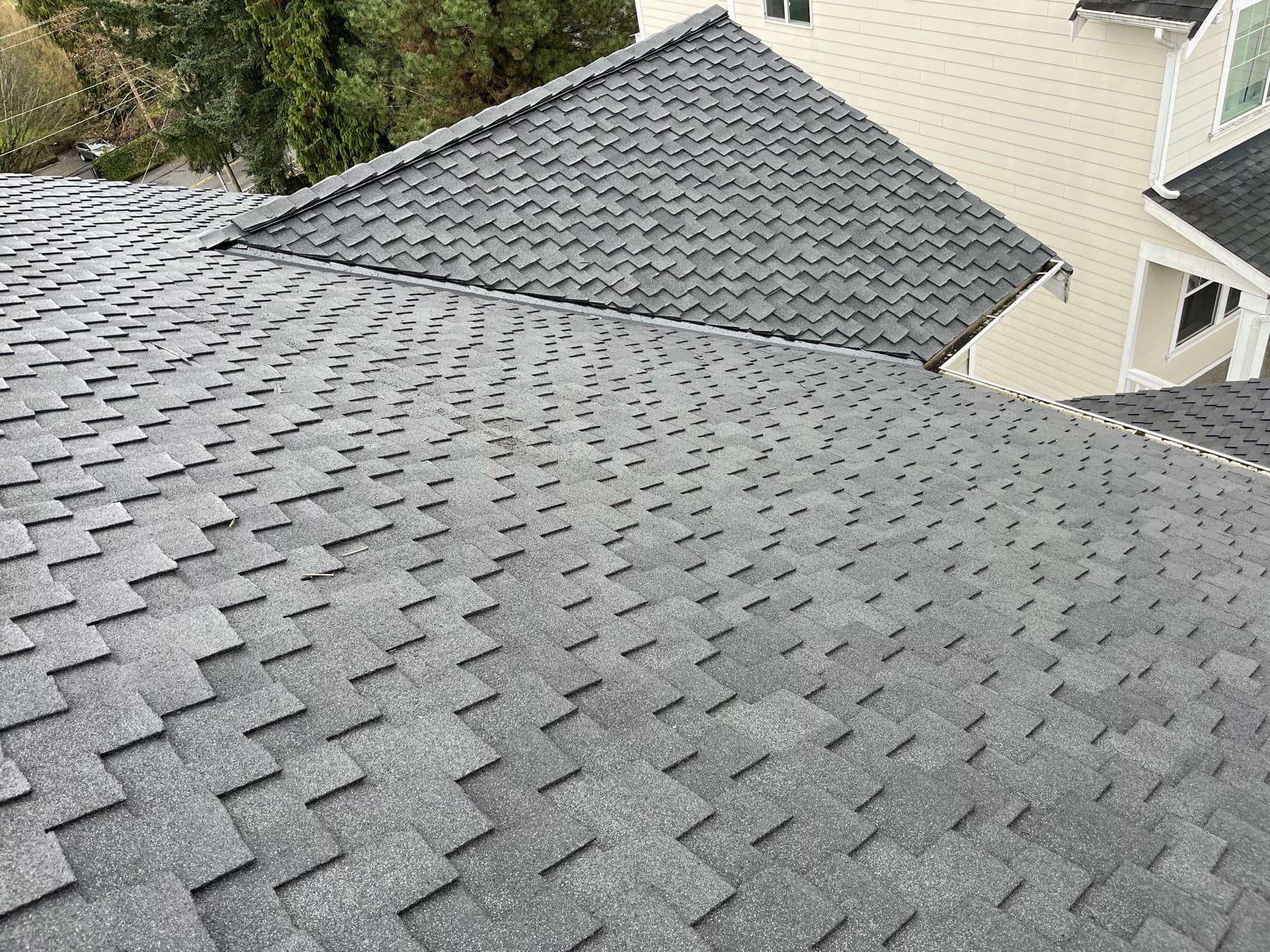 Dark gray shingle roof with a gabled section and mature trees beside it